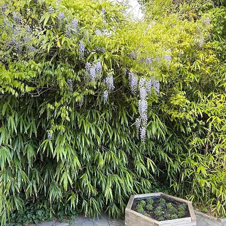 Strandrobbe-7 דירה *